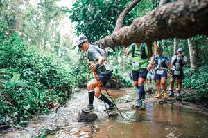 BIB: 
                            <button type="button" onclick="openModal(25372692)" class="btn btn-primary btn-sm float-right btn-popup" data-toggle="modal" data-target=".modal-high-quality">
                        <i class="fas fa-shopping-cart"></i> Add to Cart
                    </button>
                                            <button type="button" onclick="isThisMe(25372692, true)" class="btn btn-success btn-sm float-right btn-popup btn-isme hidden" data-toggle="tooltip" data-placement="bottom" title="นี่คือรูปของคุณใช่ไหม คลิกที่นี่เพื่อเอาเข้าอัลบั้ม">
                        <i class="fas fa-plus"></i> Add to album
                    </button>
                    <button type="button" onclick="isThisMe(25372692, false)" class="btn btn-warning btn-sm float-right btn-popup btn-isnotme hidden">
                        <i class="fas fa-ban"></i> Remove from album
                    </button>